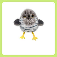 Cuckoo