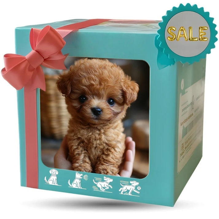 【Soulmate】🔥AI Robot Puppy🐕‍🦺 – 30 Years of Craftsmanship, Built to Love & Learn❤️